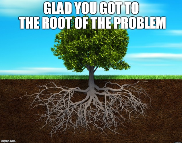 roots | GLAD YOU GOT TO THE ROOT OF THE PROBLEM | image tagged in roots | made w/ Imgflip meme maker