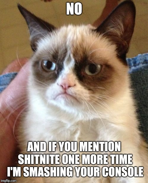 Grumpy Cat Meme | NO AND IF YOU MENTION SHITNITE ONE MORE TIME I'M SMASHING YOUR CONSOLE | image tagged in memes,grumpy cat | made w/ Imgflip meme maker