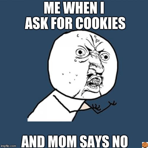 Y U No Meme | ME WHEN I ASK FOR COOKIES; AND MOM SAYS NO | image tagged in memes,y u no | made w/ Imgflip meme maker