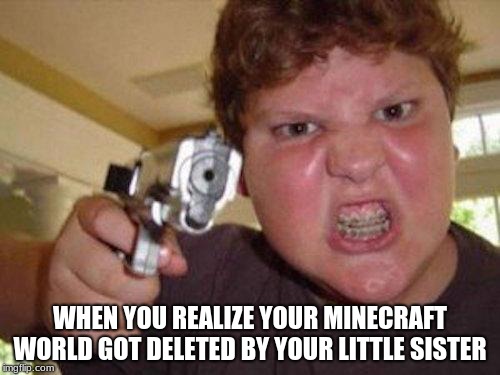 minecrafter | WHEN YOU REALIZE YOUR MINECRAFT WORLD GOT DELETED BY YOUR LITTLE SISTER | image tagged in minecrafter | made w/ Imgflip meme maker