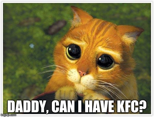 Shrek Cat Meme | DADDY, CAN I HAVE KFC? | image tagged in memes,shrek cat | made w/ Imgflip meme maker