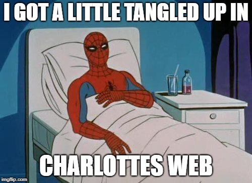 Spiderman Hospital Meme | I GOT A LITTLE TANGLED UP IN; CHARLOTTES WEB | image tagged in memes,spiderman hospital,spiderman | made w/ Imgflip meme maker