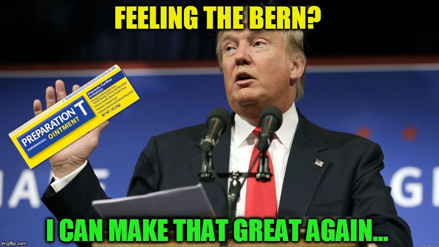 FEELING THE BERN? I CAN MAKE THAT GREAT AGAIN... | made w/ Imgflip meme maker