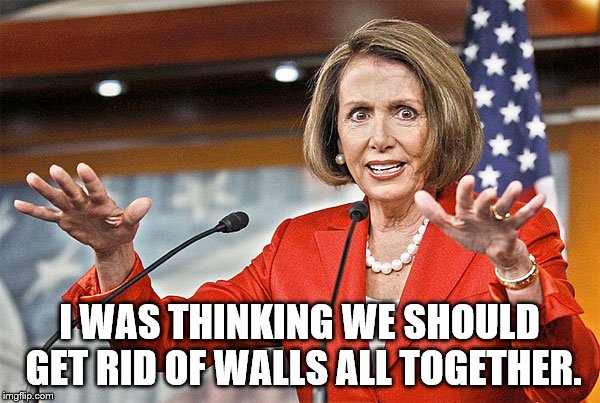 Nancy Pelosi is crazy | I WAS THINKING WE SHOULD GET RID OF WALLS ALL TOGETHER. | image tagged in nancy pelosi is crazy | made w/ Imgflip meme maker