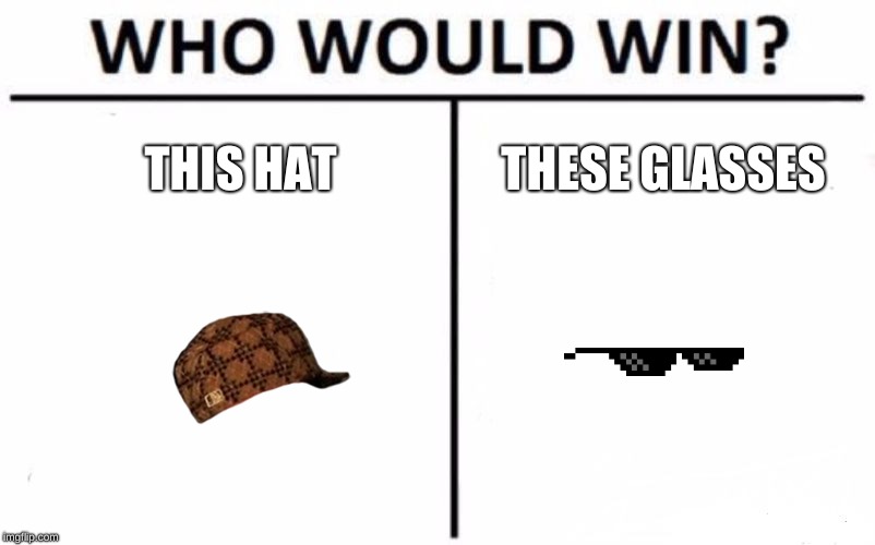 Who Would Win? | THIS HAT; THESE GLASSES | image tagged in memes,who would win | made w/ Imgflip meme maker