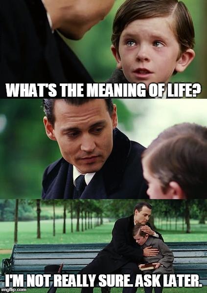 Finding Neverland | WHAT'S THE MEANING OF LIFE? I'M NOT REALLY SURE. ASK LATER. | image tagged in memes,finding neverland | made w/ Imgflip meme maker