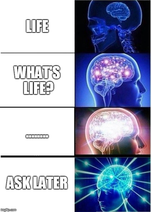 Expanding Brain | LIFE; WHAT'S LIFE? ........ ASK LATER | image tagged in memes,expanding brain | made w/ Imgflip meme maker