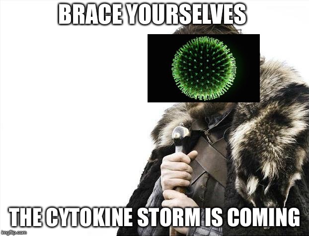 Brace Yourselves X is Coming Meme | BRACE YOURSELVES; THE CYTOKINE STORM IS COMING | image tagged in memes,brace yourselves x is coming | made w/ Imgflip meme maker