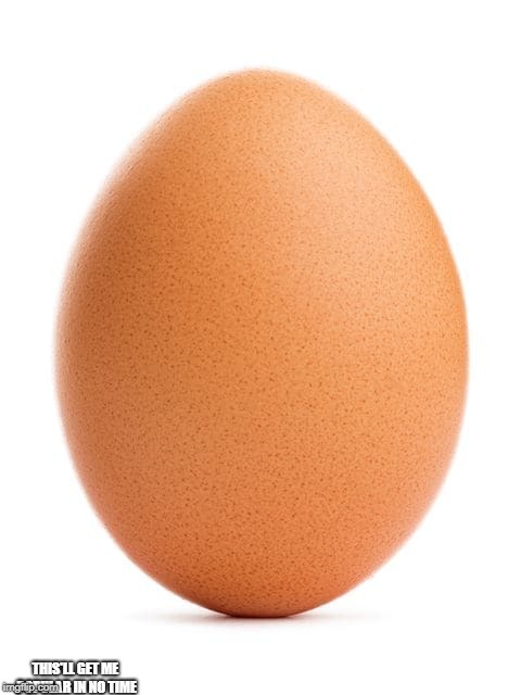 Egg |  THIS'LL GET ME POPULAR IN NO TIME | image tagged in egg,memes,popular,instagram | made w/ Imgflip meme maker