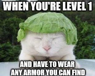image tagged in funny cats,level,armor | made w/ Imgflip meme maker