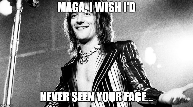 Rod Stewart - Maggie May Days | MAGA, I WISH I'D; NEVER SEEN YOUR FACE... | image tagged in rod stewart - maggie may days | made w/ Imgflip meme maker