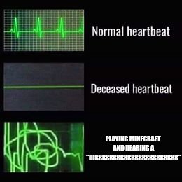 heartbeat rate | PLAYING MINECRAFT AND HEARING A "HISSSSSSSSSSSSSSSSSSSSSSS" | image tagged in heartbeat rate | made w/ Imgflip meme maker