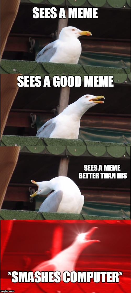 Inhaling Seagull Meme | SEES A MEME; SEES A GOOD MEME; SEES A MEME BETTER THAN HIS; *SMASHES COMPUTER* | image tagged in memes,inhaling seagull | made w/ Imgflip meme maker