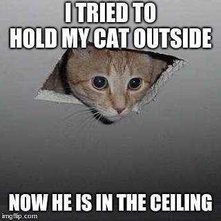 Ceiling Cat Meme | I TRIED TO HOLD MY CAT OUTSIDE; NOW HE IS IN THE CEILING | image tagged in memes,ceiling cat | made w/ Imgflip meme maker