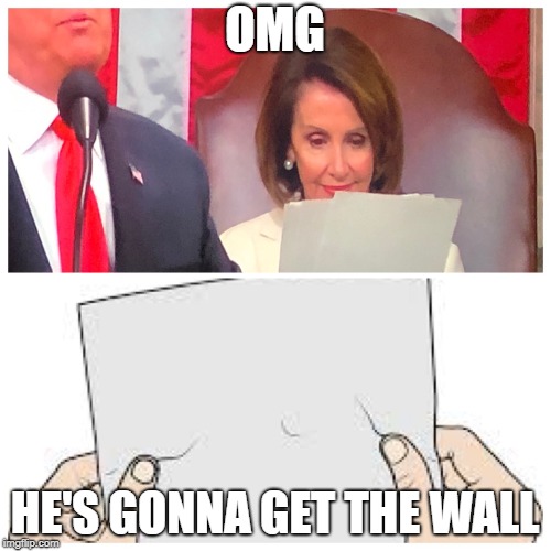 What was Pelosi reading? | OMG; HE'S GONNA GET THE WALL | image tagged in what was pelosi reading | made w/ Imgflip meme maker