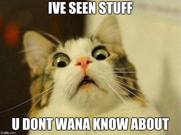 Scared Cat Meme | IVE SEEN STUFF; U DONT WANA KNOW ABOUT | image tagged in memes,scared cat | made w/ Imgflip meme maker