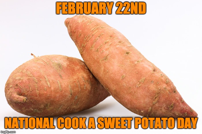 Sweet Potato Day | FEBRUARY 22ND; NATIONAL COOK A SWEET POTATO DAY | image tagged in memes,farm,farmer | made w/ Imgflip meme maker