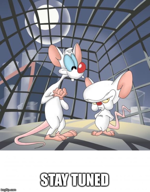 Pinky and the brain | STAY TUNED | image tagged in pinky and the brain | made w/ Imgflip meme maker