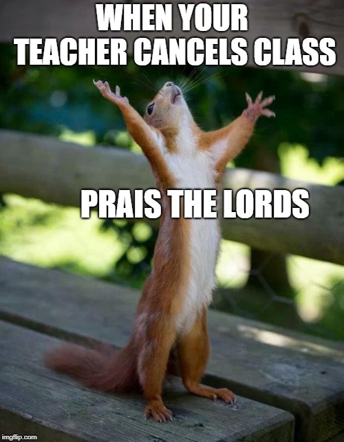 Happy Squirrel | WHEN YOUR TEACHER CANCELS CLASS; PRAIS THE LORDS | image tagged in happy squirrel | made w/ Imgflip meme maker