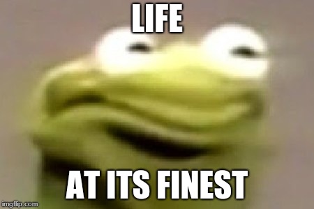 LIFE; AT ITS FINEST | image tagged in kermit the frog | made w/ Imgflip meme maker