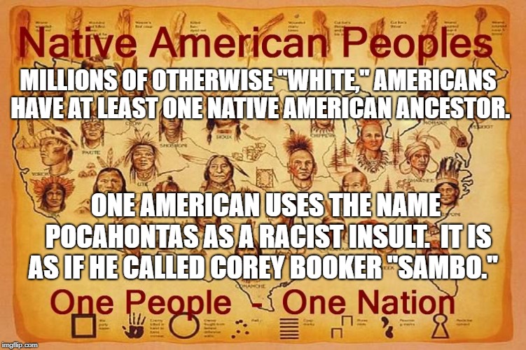 native american people | MILLIONS OF OTHERWISE "WHITE," AMERICANS HAVE AT LEAST ONE NATIVE AMERICAN ANCESTOR. ONE AMERICAN USES THE NAME POCAHONTAS AS A RACIST INSULT.  IT IS AS IF HE CALLED COREY BOOKER "SAMBO." | image tagged in native american people | made w/ Imgflip meme maker