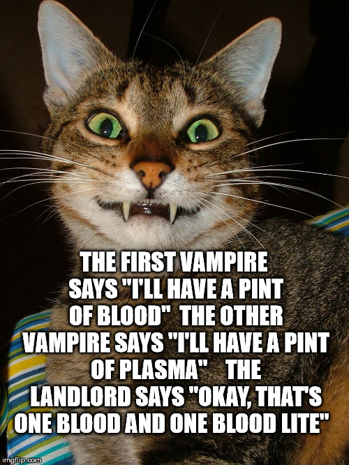 blood drinking pun | THE FIRST VAMPIRE SAYS "I'LL HAVE A PINT OF BLOOD"

THE OTHER VAMPIRE SAYS "I'LL HAVE A PINT OF PLASMA"



THE LANDLORD SAYS "OKAY, THAT'S ONE BLOOD AND ONE BLOOD LITE" | image tagged in vampire cat,blood drinking pun,vampire | made w/ Imgflip meme maker