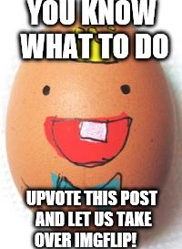 Egg interview  | YOU KNOW WHAT TO DO; UPVOTE THIS POST AND LET US TAKE OVER IMGFLIP! | image tagged in egg interview | made w/ Imgflip meme maker