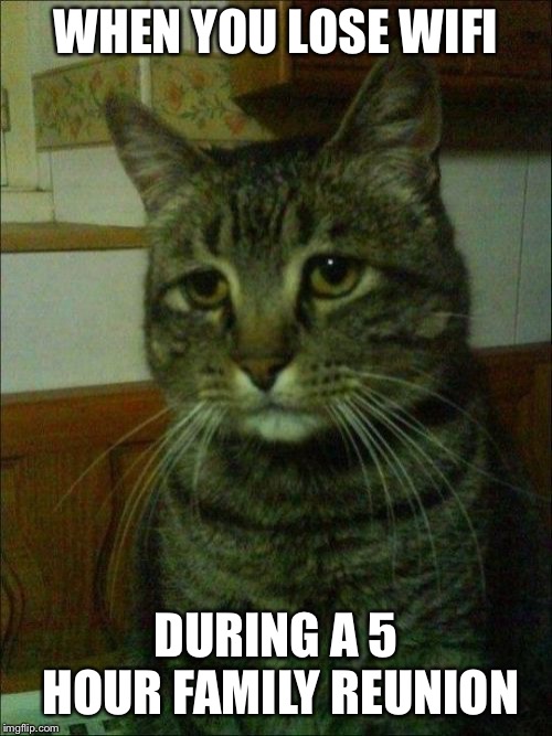 Depressed Cat Meme | WHEN YOU LOSE WIFI; DURING A 5 HOUR FAMILY REUNION | image tagged in memes,depressed cat | made w/ Imgflip meme maker