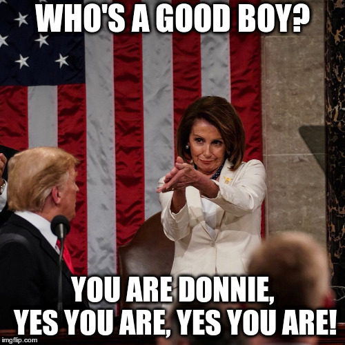 Who me? Am I a good boy? | WHO'S A GOOD BOY? YOU ARE DONNIE, YES YOU ARE, YES YOU ARE! | image tagged in humor,trump,pelosi,state of the union | made w/ Imgflip meme maker