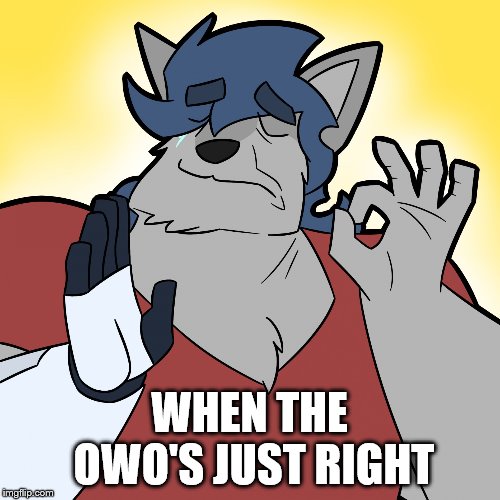 WhenThe*blank*IsJustRight (Furry) | WHEN THE OWO'S JUST RIGHT | image tagged in whentheblankisjustright furry | made w/ Imgflip meme maker