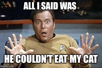 captain kirk jazz hands | ALL I SAID WAS HE COULDN’T EAT MY CAT | image tagged in captain kirk jazz hands | made w/ Imgflip meme maker