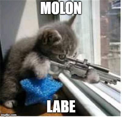 cats with guns | MOLON LABE | image tagged in cats with guns | made w/ Imgflip meme maker