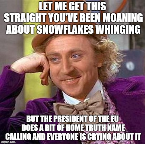 Creepy Condescending Wonka Meme | LET ME GET THIS STRAIGHT YOU'VE BEEN MOANING ABOUT SNOWFLAKES WHINGING; BUT THE PRESIDENT OF THE EU DOES A BIT OF HOME TRUTH NAME CALLING AND EVERYONE IS CRYING ABOUT IT | image tagged in memes,crying about it | made w/ Imgflip meme maker
