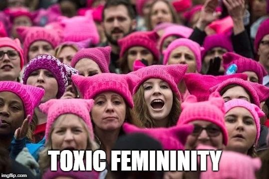Pussy hats | TOXIC FEMININITY | image tagged in pussy hats | made w/ Imgflip meme maker