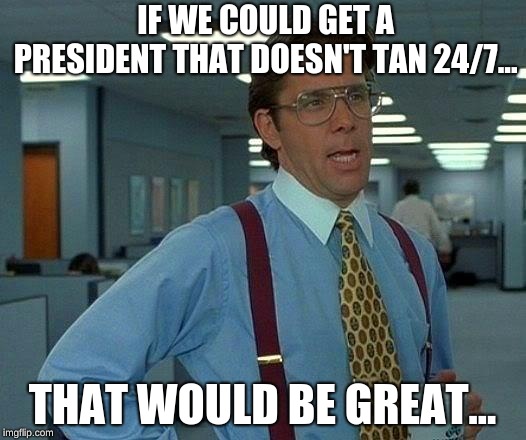 That Would Be Great Meme |  IF WE COULD GET A PRESIDENT THAT DOESN'T TAN 24/7... THAT WOULD BE GREAT... | image tagged in memes,that would be great | made w/ Imgflip meme maker
