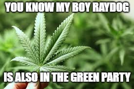 marijuana | YOU KNOW MY BOY RAYDOG IS ALSO IN THE GREEN PARTY | image tagged in marijuana | made w/ Imgflip meme maker