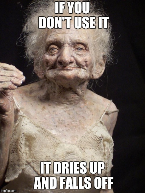 Sexy old woman | IF YOU DON'T USE IT IT DRIES UP AND FALLS OFF | image tagged in sexy old woman | made w/ Imgflip meme maker
