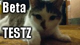 catz Beta testz | Beta; TESTZ | image tagged in cats,cat,kitty,gaming,pc gaming | made w/ Imgflip meme maker