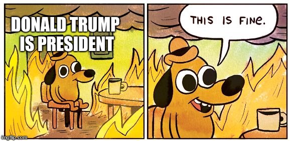 This Is Fine | DONALD TRUMP IS PRESIDENT | image tagged in this is fine dog | made w/ Imgflip meme maker