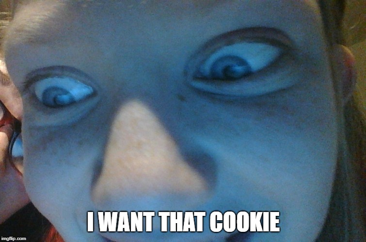 I WANT THAT COOKIE | image tagged in cookie | made w/ Imgflip meme maker