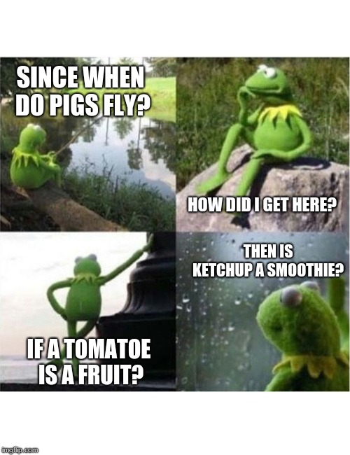 blank kermit waiting | SINCE WHEN DO PIGS FLY? HOW DID I GET HERE? THEN IS KETCHUP A SMOOTHIE? IF A TOMATOE IS A FRUIT? | image tagged in blank kermit waiting | made w/ Imgflip meme maker