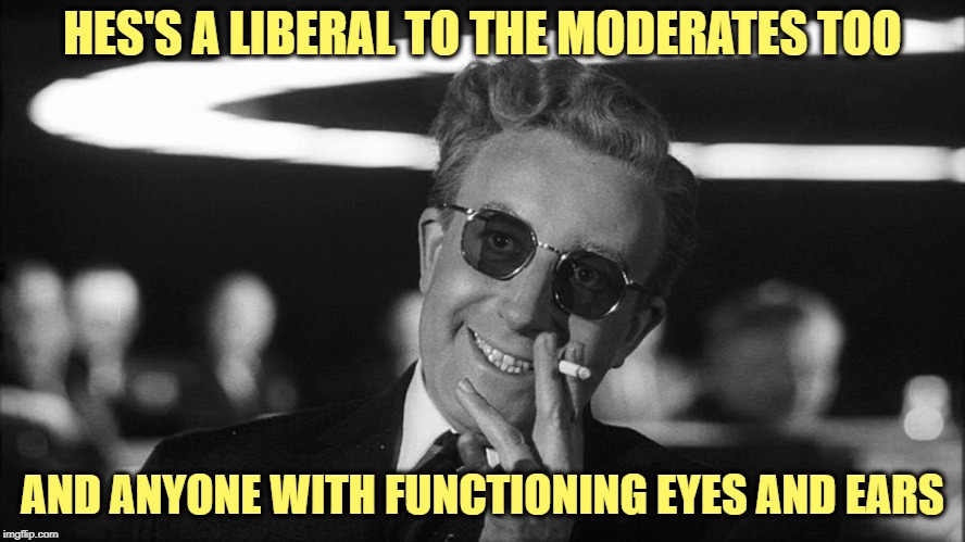 Doctor Strangelove says... | HES'S A LIBERAL TO THE MODERATES TOO AND ANYONE WITH FUNCTIONING EYES AND EARS | made w/ Imgflip meme maker