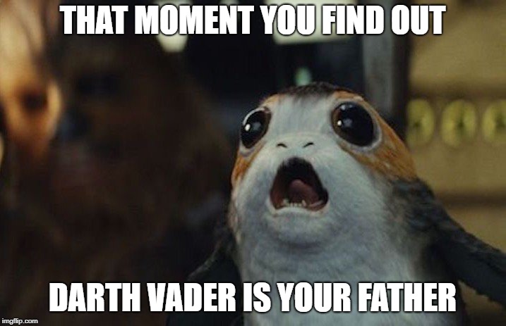 Star Wars Porg | THAT MOMENT YOU FIND OUT; DARTH VADER IS YOUR FATHER | image tagged in star wars porg | made w/ Imgflip meme maker