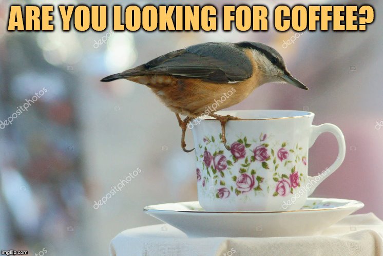 ARE YOU LOOKING FOR COFFEE? | made w/ Imgflip meme maker