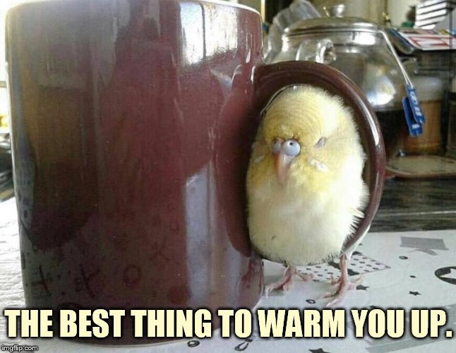 THE BEST THING TO WARM YOU UP. | made w/ Imgflip meme maker