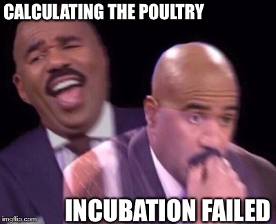Steve Harvey Laughing Serious | CALCULATING THE POULTRY INCUBATION FAILED | image tagged in steve harvey laughing serious | made w/ Imgflip meme maker