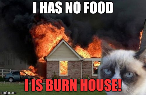 Burn Kitty | I HAS NO FOOD; I IS BURN HOUSE! | image tagged in memes,burn kitty,grumpy cat | made w/ Imgflip meme maker