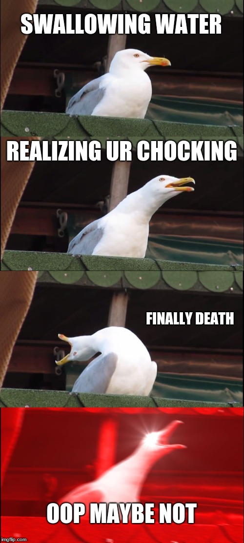 Inhaling Seagull | SWALLOWING WATER; REALIZING UR CHOCKING; FINALLY DEATH; OOP MAYBE NOT | image tagged in memes,inhaling seagull | made w/ Imgflip meme maker