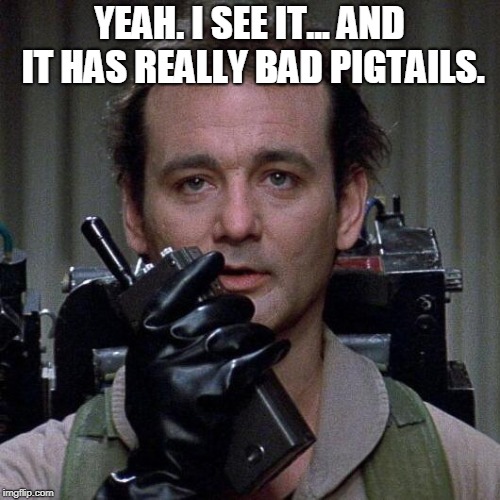 Ghostbusters  | YEAH. I SEE IT... AND IT HAS REALLY BAD PIGTAILS. | image tagged in ghostbusters | made w/ Imgflip meme maker