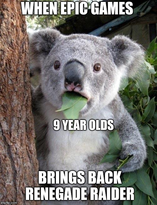 Suprised Koala | WHEN EPIC GAMES; 9 YEAR OLDS; BRINGS BACK RENEGADE RAIDER | image tagged in suprised koala | made w/ Imgflip meme maker